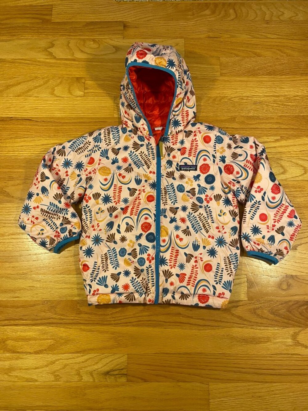 Patagonia Reversible Down Puffer Jacket